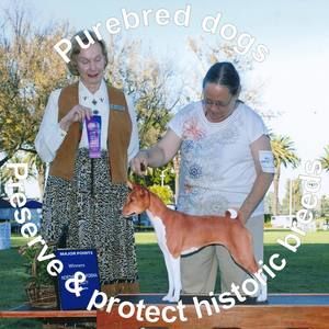 Meet your Posher, Paulette